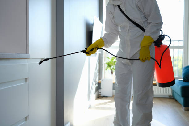 Best Residential Mold Removal  in Lanai City, HI