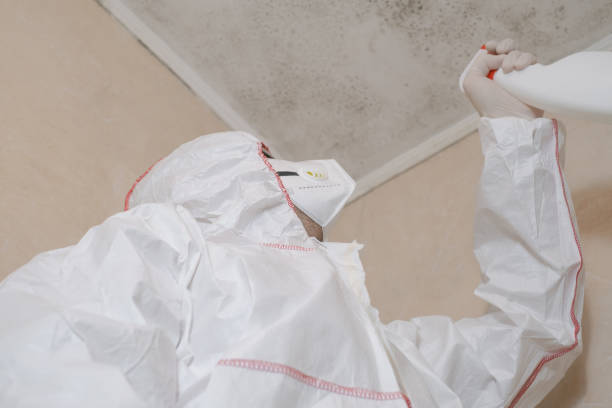 Best Residential Mold Removal  in Lanai City, HI